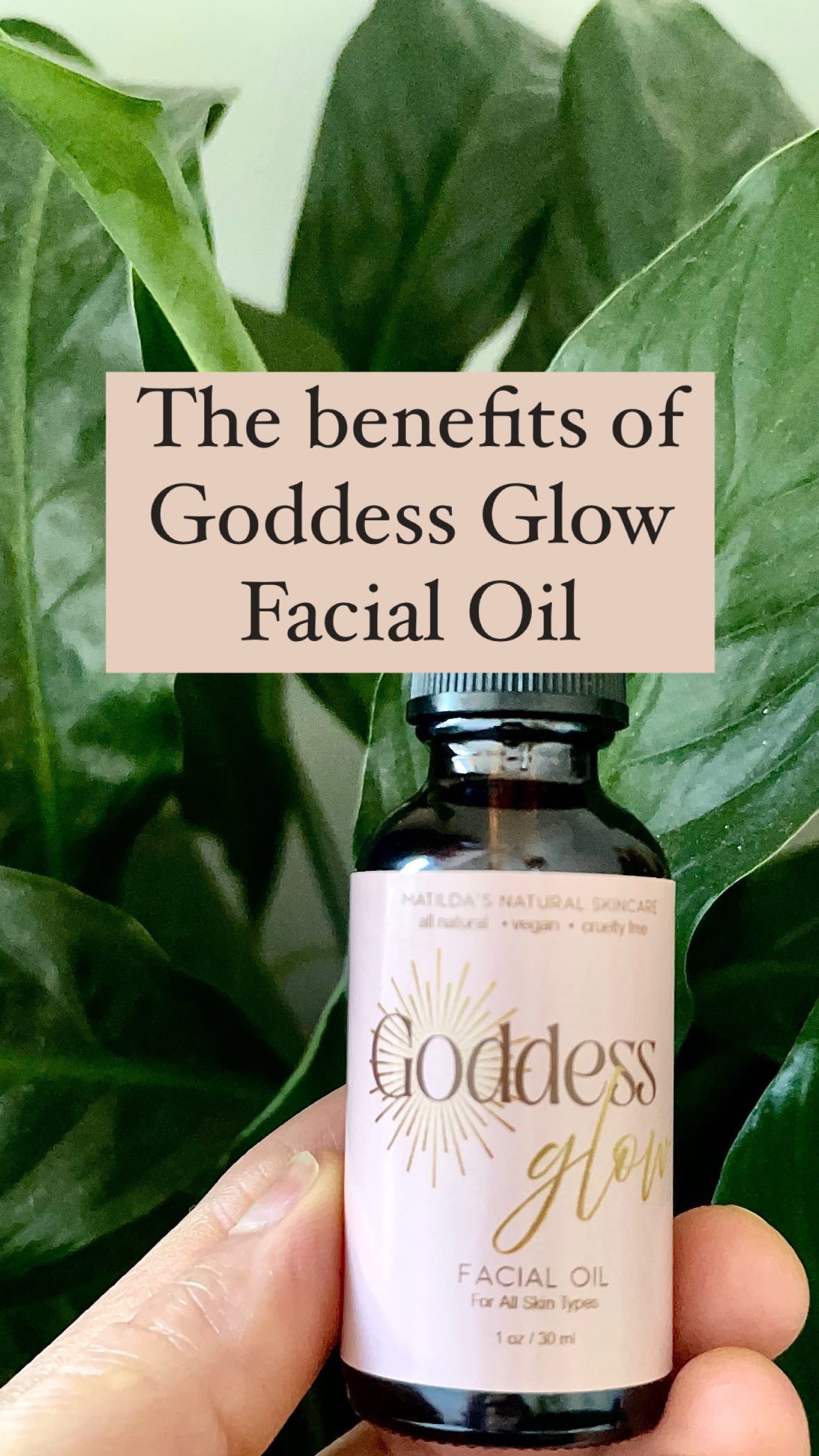 Goddess Glow Facial Oil✨

It’s been referred to as liquid gold by many. 
This is where Goddess Glow all began. 

It’s good for all skin types~

Oily skin✔️
Acne skin✔️
Dehydrated/dry skin✔️
Aging skin✔️
Rosacea prone skin✔️ 
Sensitive skin✔️
Teenage skin✔️ 
Normal/balanced skin✔️
Sun damaged skin✔️ 
Sun burned skin✔️
Injured/wounded skin✔️

If you’re looking for~
Glowing skin
Healthy skin
Balanced skin
Brighter skin
Calmer skin
Hydrated skin
Healing skin
Nourished skin 

Then this is for you✨

#Goddessglow #naturalglow #organicskincare #organicingredients #naturalskincare #smallbatch #homemade #organicskin #organic #skincare #natural